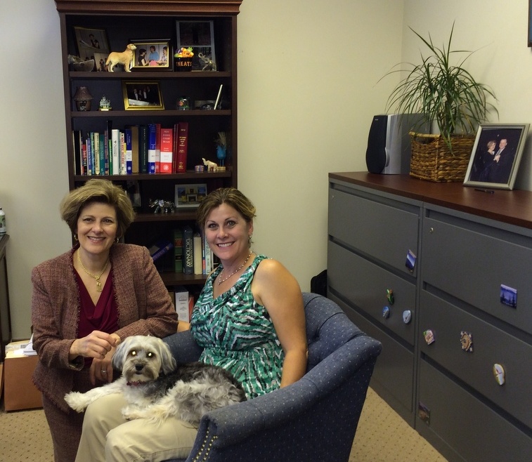 Mediating Over Pets and Pet Custody Issues